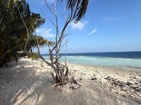 Local Travel Beach主图