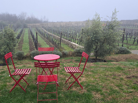 Kekovic Estate-Danilovgrad Municipality必去景点