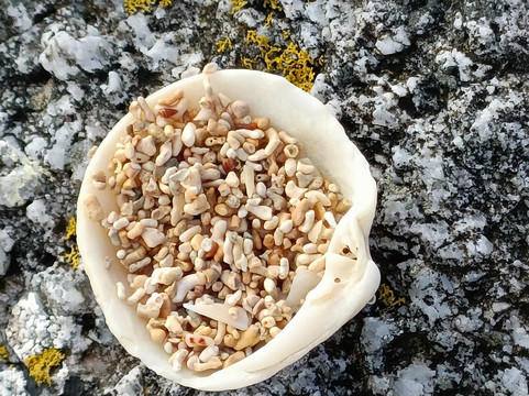 Coral Strand (Trá an Dóilín)-Carraroe必去景点