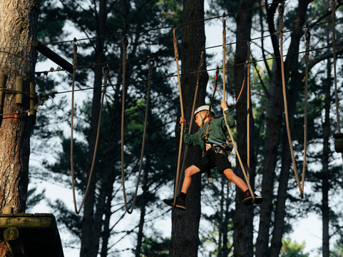 Tree Adventures-伍德山必去景点