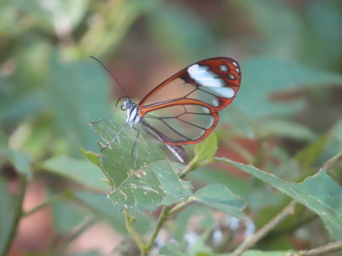 巴扎庄园酒店主图