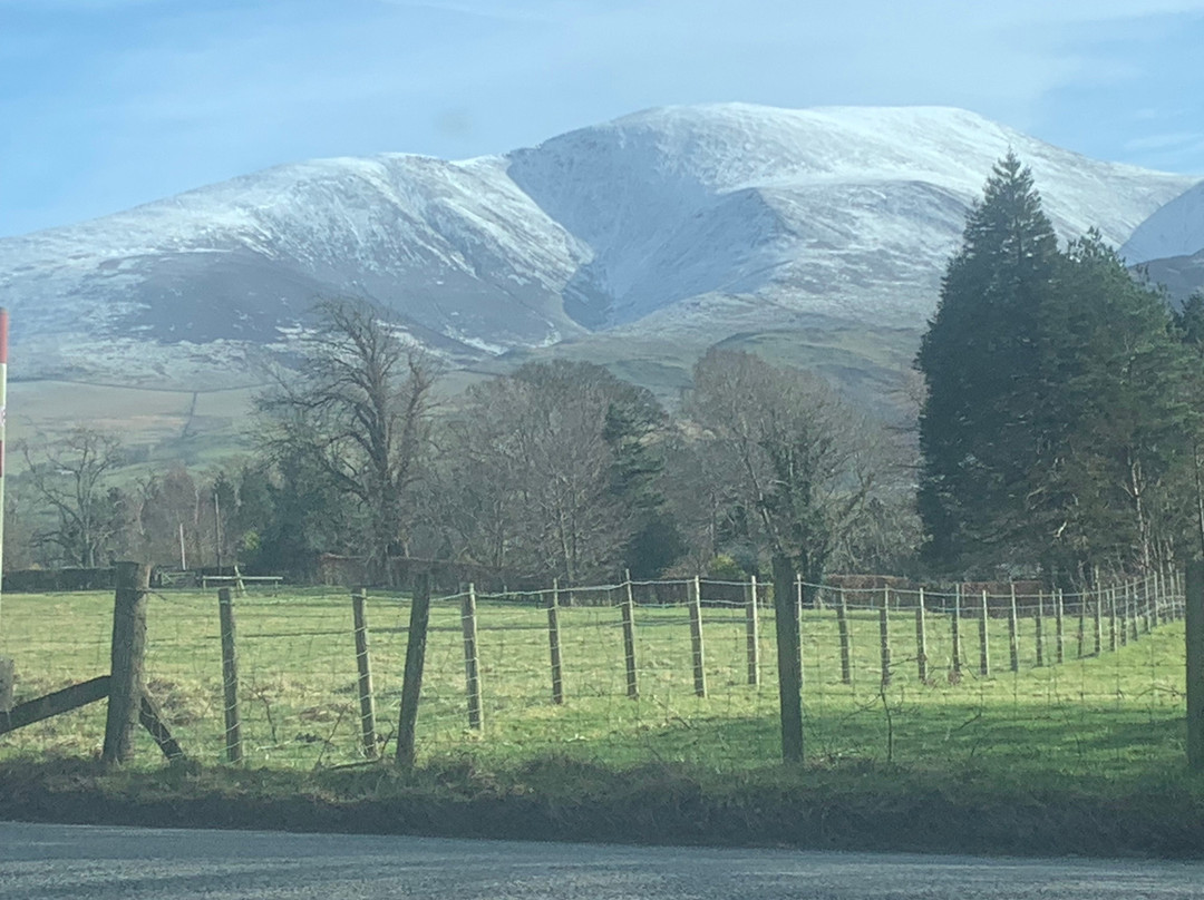 The Lake District Wildlife Park-Bassenthwaite必去景点