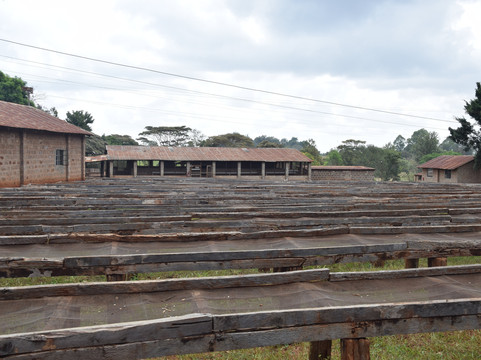 Karunguru Coffee Estate-Ruiru必去景点