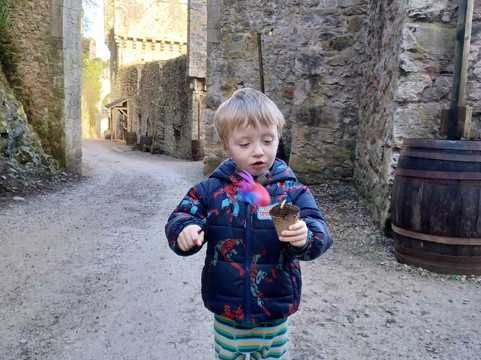 Gwrych Castle-Abergele必去景点