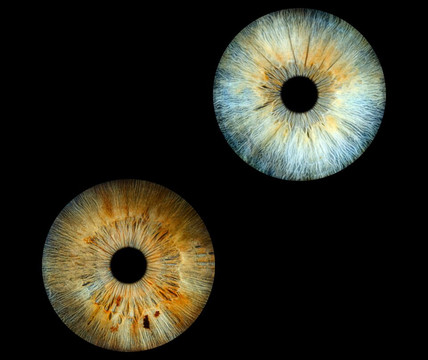 Iris Galerie Groningen