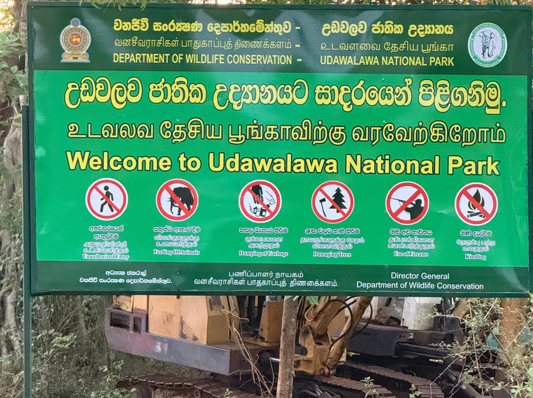 Udawalawe Safari Tours-乌达瓦拉维国家公园必去景点