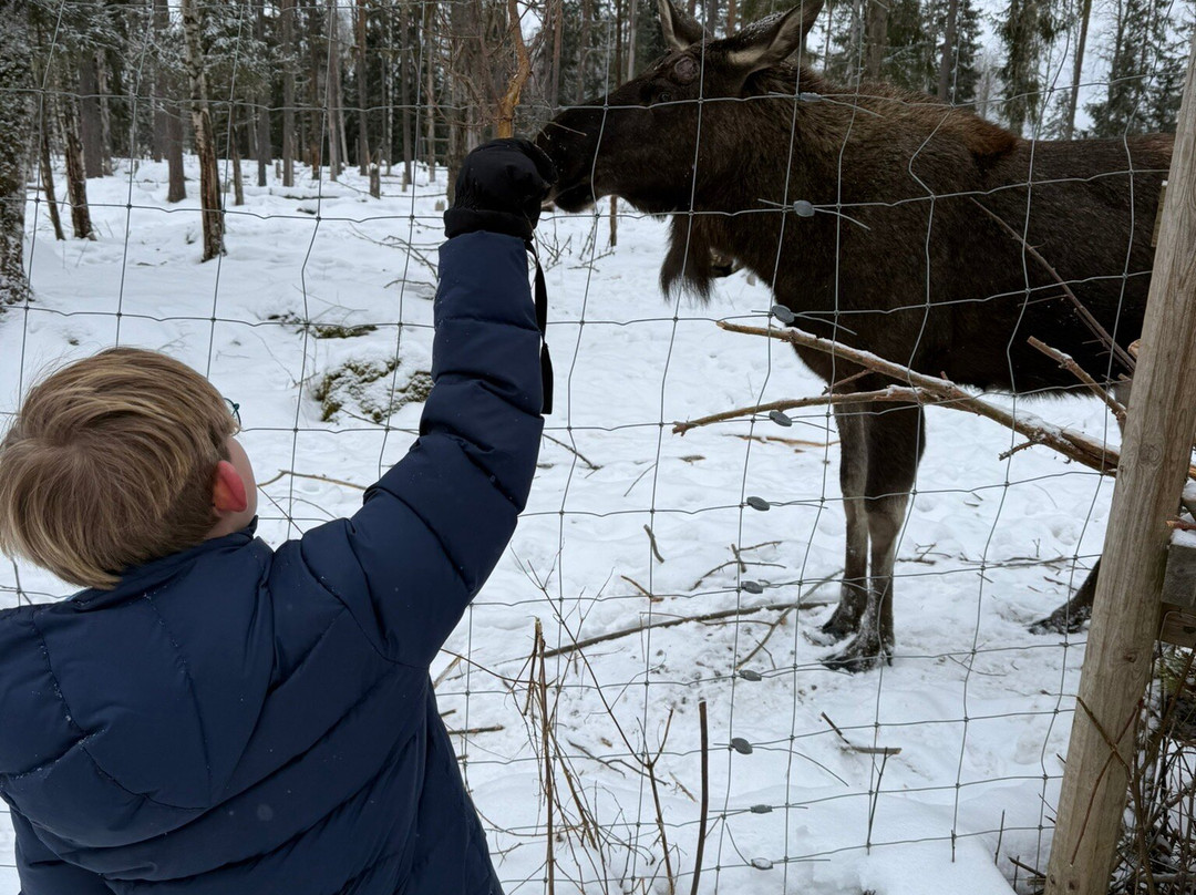 Varmlands Moose Park-Eksharad必去景点