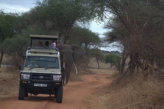 Regal African Safaris-Usa River必去景点