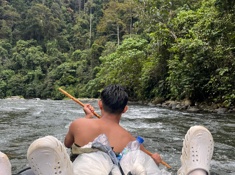 Trekking Orangutan Sumatra-武吉拉旺必去景点