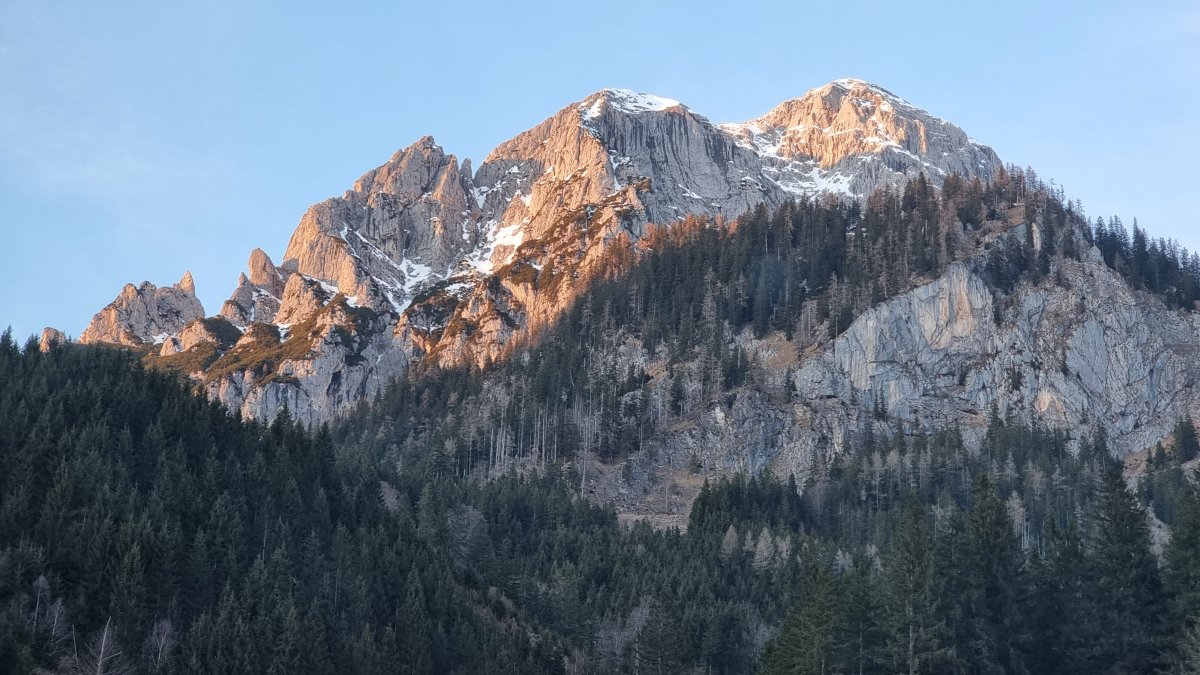 Gasthof - Pension Ödsteinblick-官方