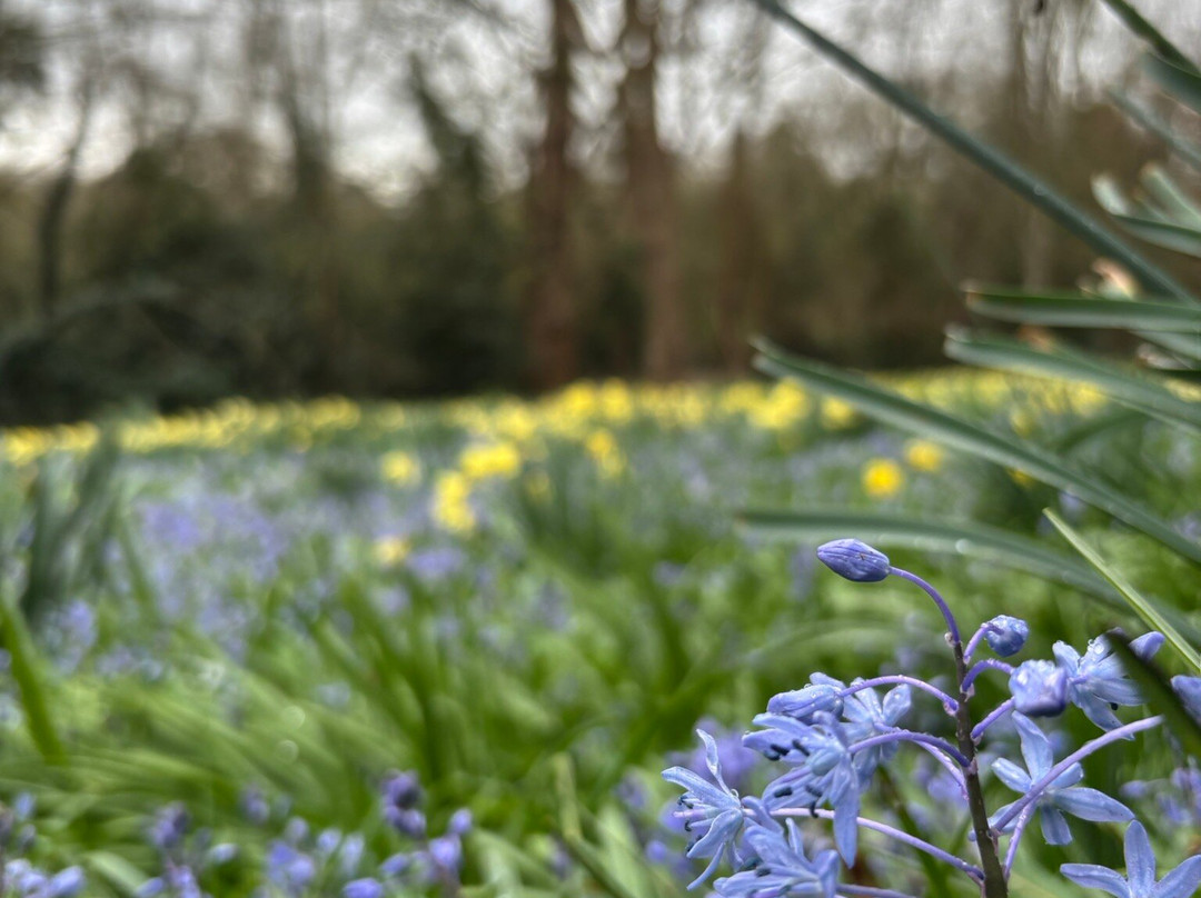 Myddelton House Gardens-恩菲尔德必去景点