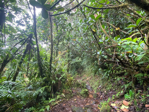 Chute du Galion-Saint-Claude必去景点