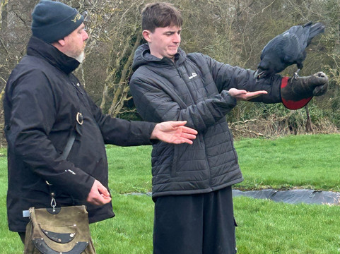 Lavenham Falconry-Monks Eleigh必去景点
