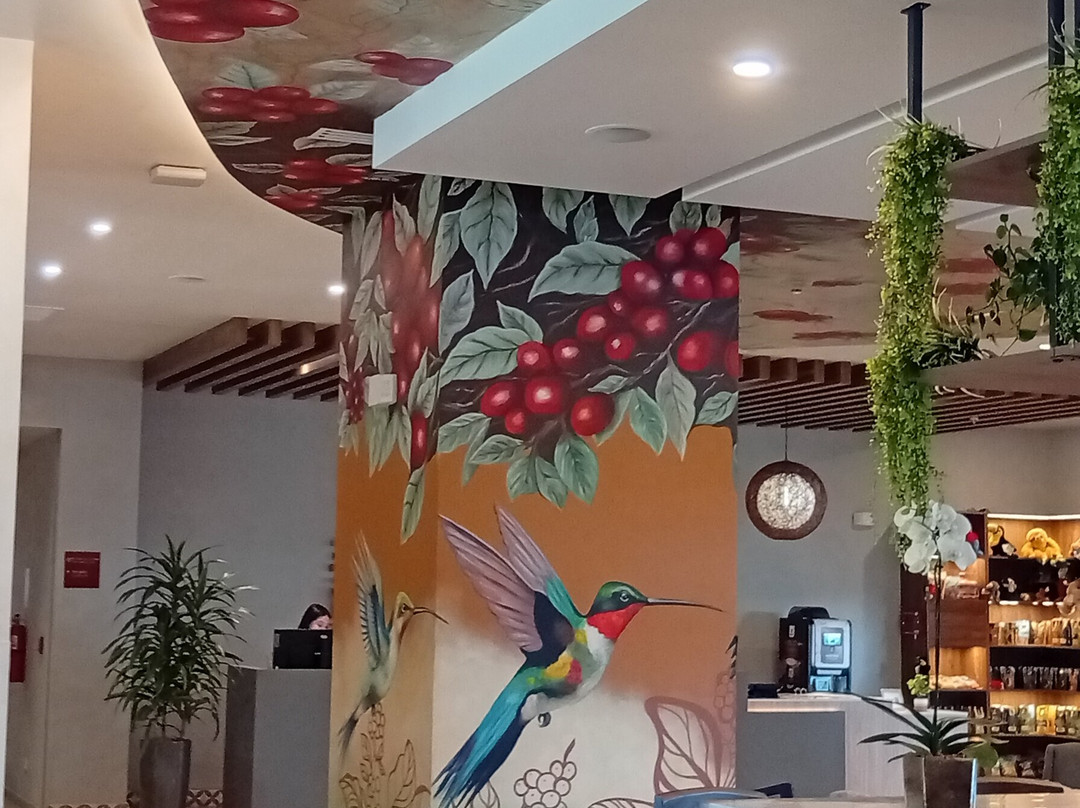 圣何塞皮纳雷斯凯悦嘉轩酒店主图