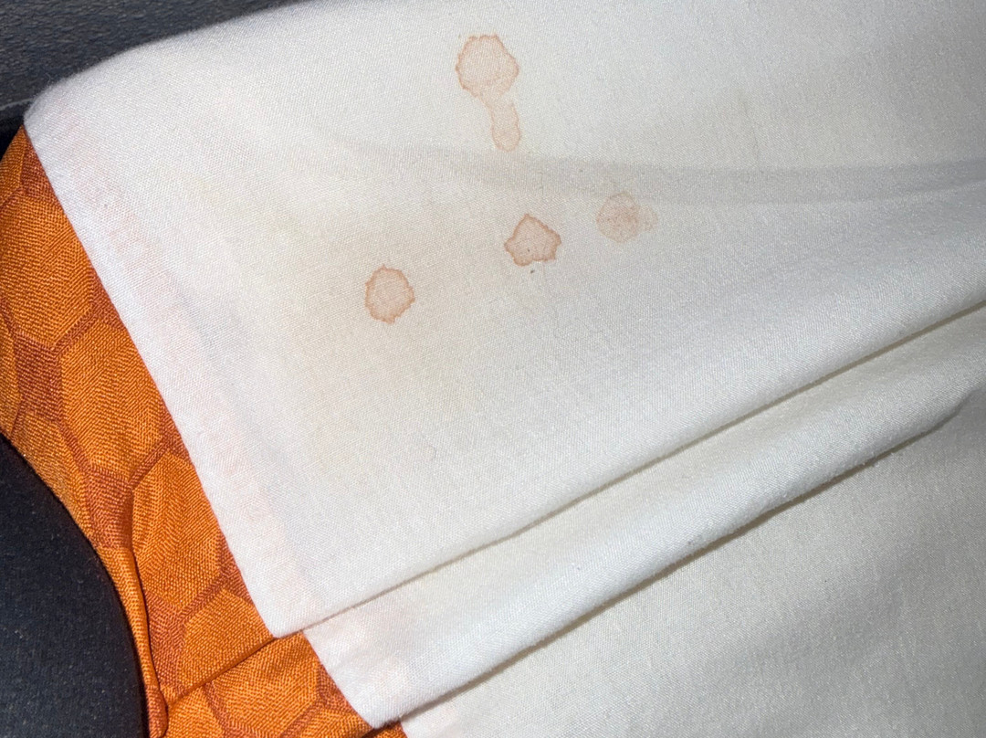 扬斯敦博德曼/波兰万枫酒店及套房主图