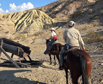Big Bend & Lajitas Stables-Terlingua必去景点
