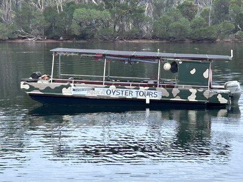 Captain Sponges Magical Oyster Tours-Pambula必去景点