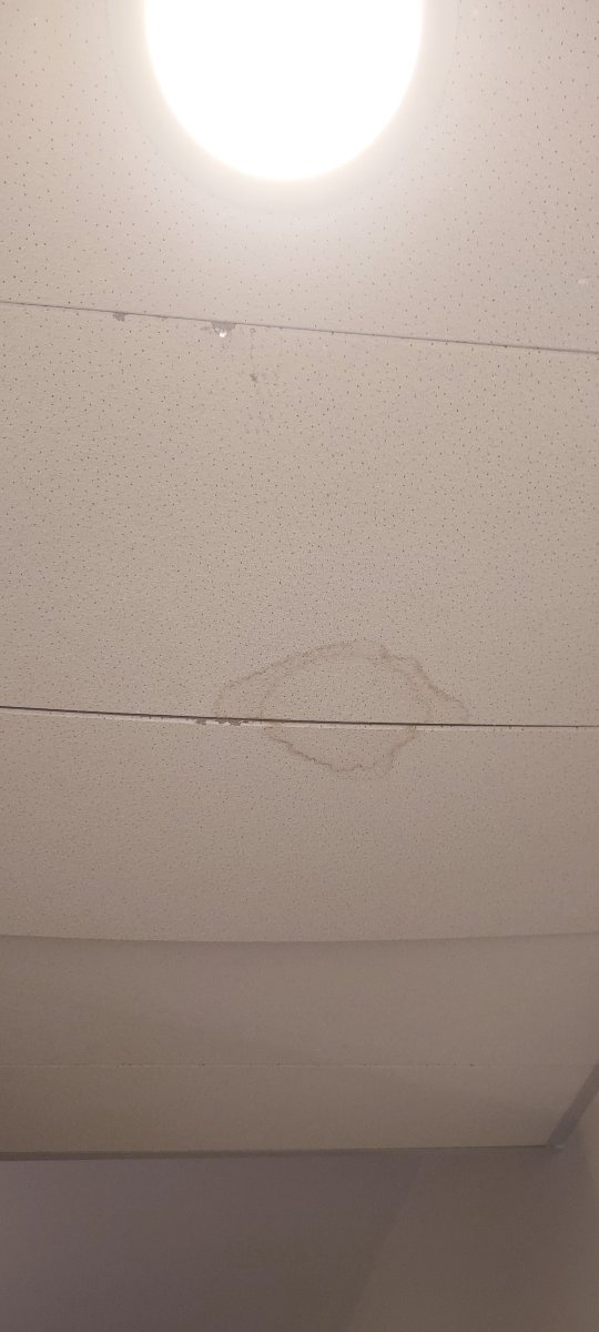 里尔欧洲康铂酒店-客卧