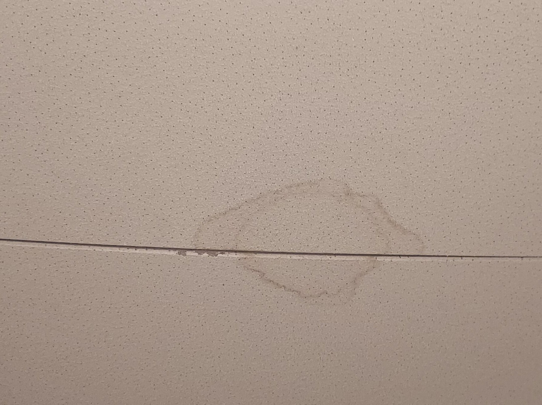 里尔欧洲康铂酒店主图