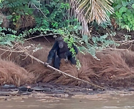 Fair Play Gambia-Janjanbureh必去景点