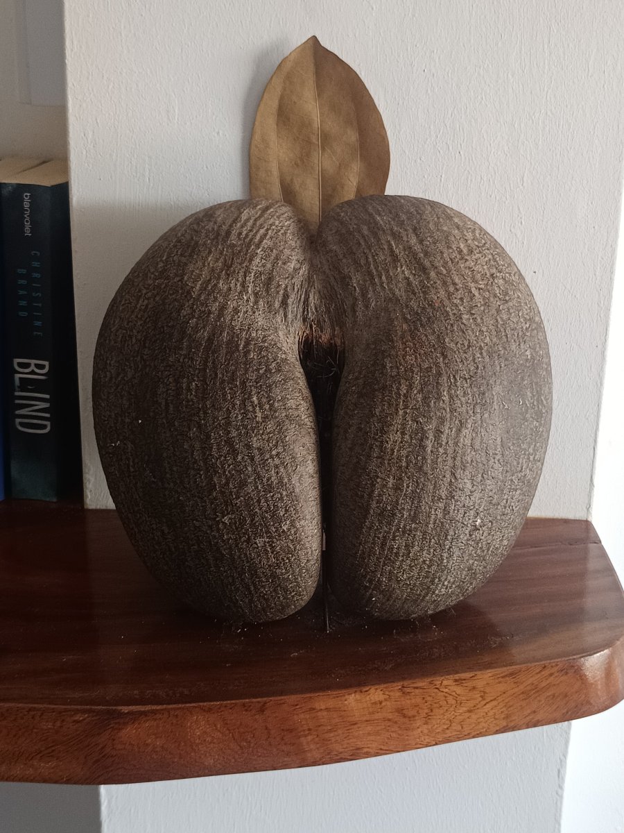 洞穴公寓式酒店-官方