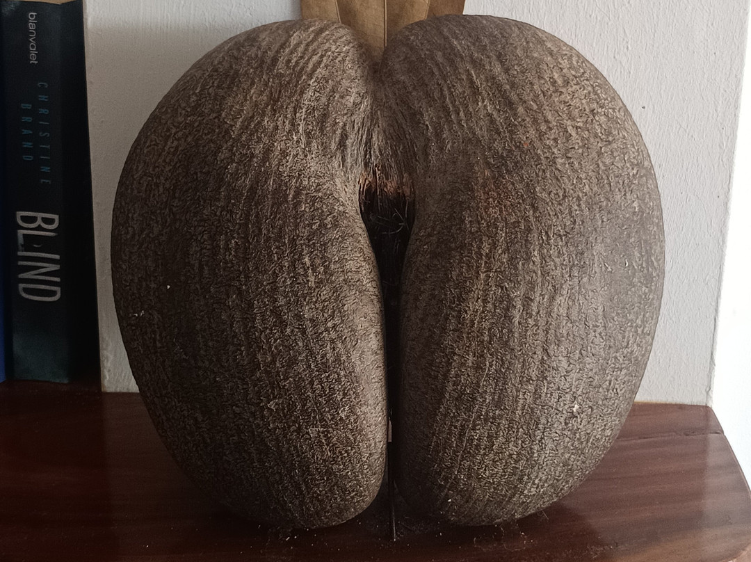 洞穴公寓式酒店主图