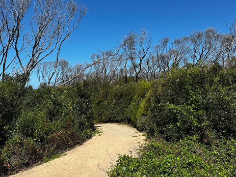 Mallacoota Coastal Walks-Mallacoota必去景点