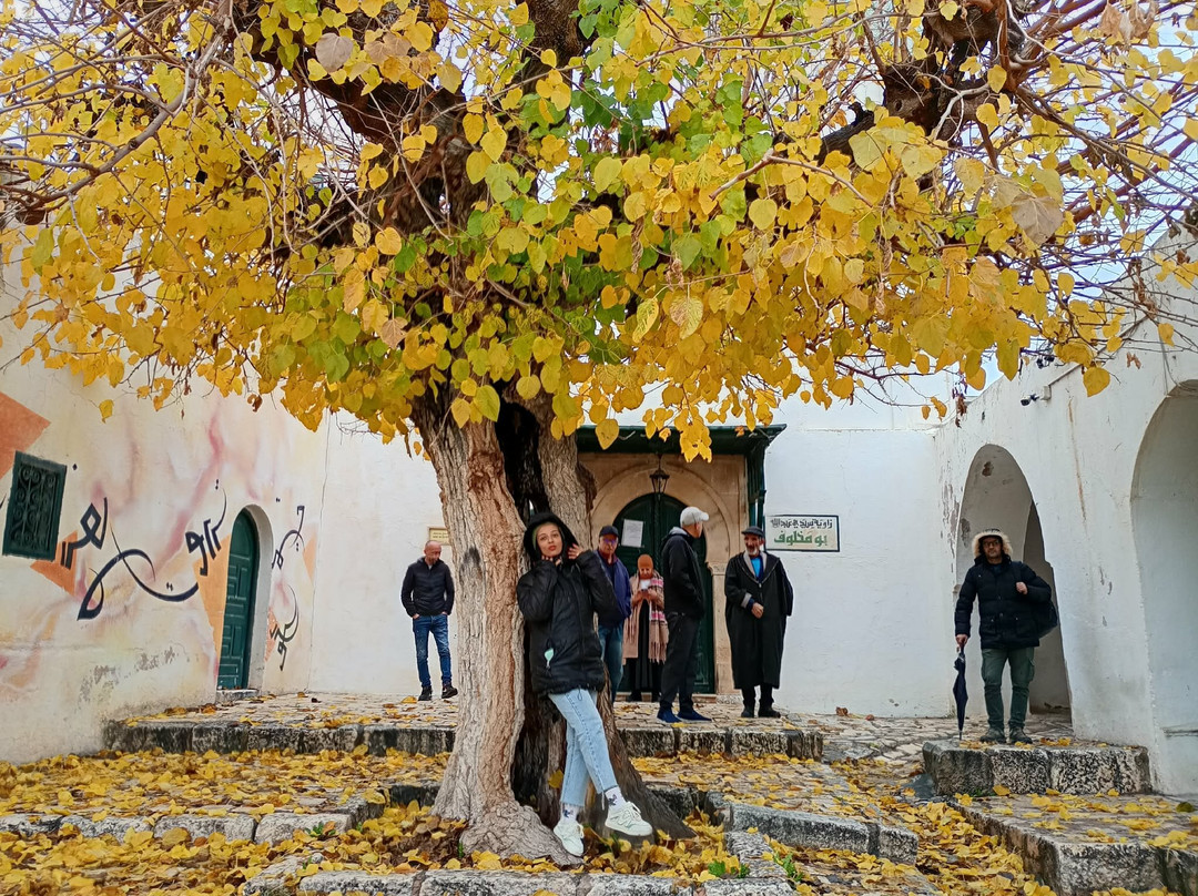 Kasbah Of Le Kef