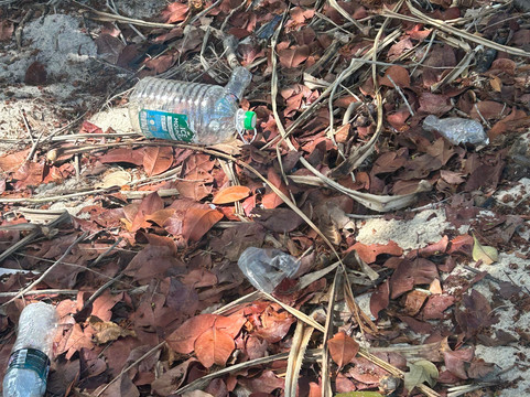 猴子岛-巴巷海滩必去景点