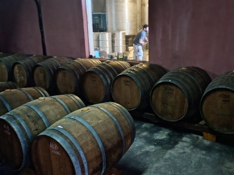 Bodegas Carrau-蒙得维的亚必去景点