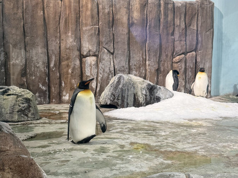 蒙特利尔自然生态博物馆-蒙特利尔必去景点