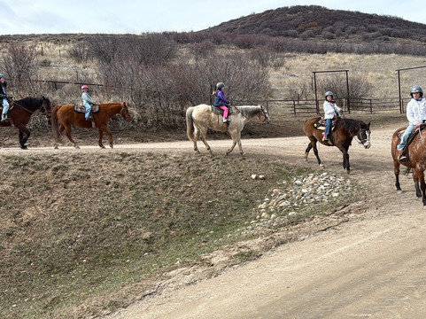 Saddleback Ranch-斯廷博特斯普林斯必去景点