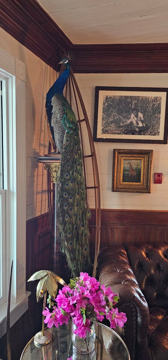 吉布森酒店-度假村/酒店