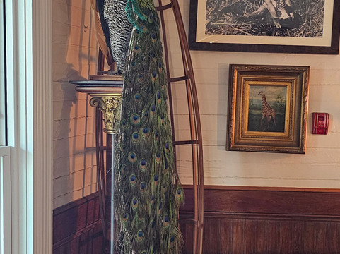 吉布森酒店主图