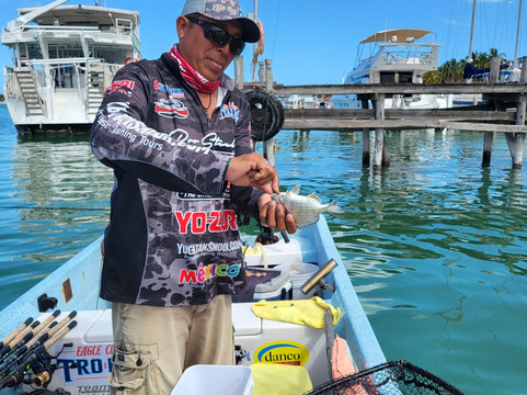 Yucatan Snook-Chuburna必去景点