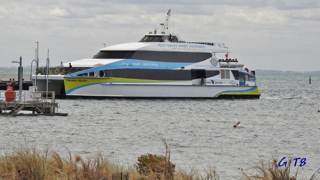 Rottnest Fast Ferries - Day Tours-拉瑞斯必去景点