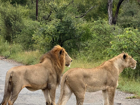 卡萨特甘姆山林小屋主图