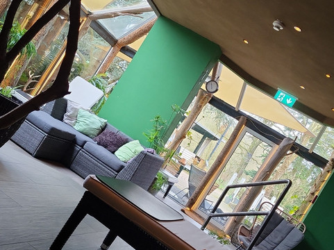 罗滕伯格兰德酒店主图