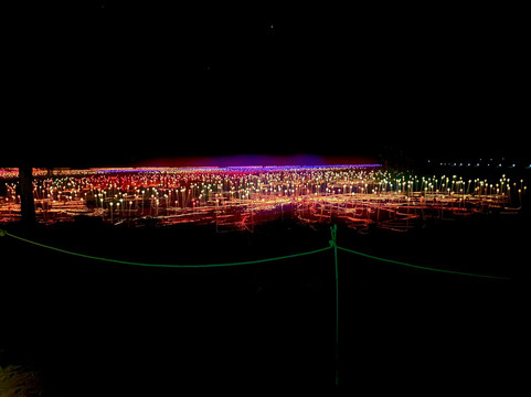 Field of Light-乌鲁鲁-卡塔丘塔国家公园必去景点
