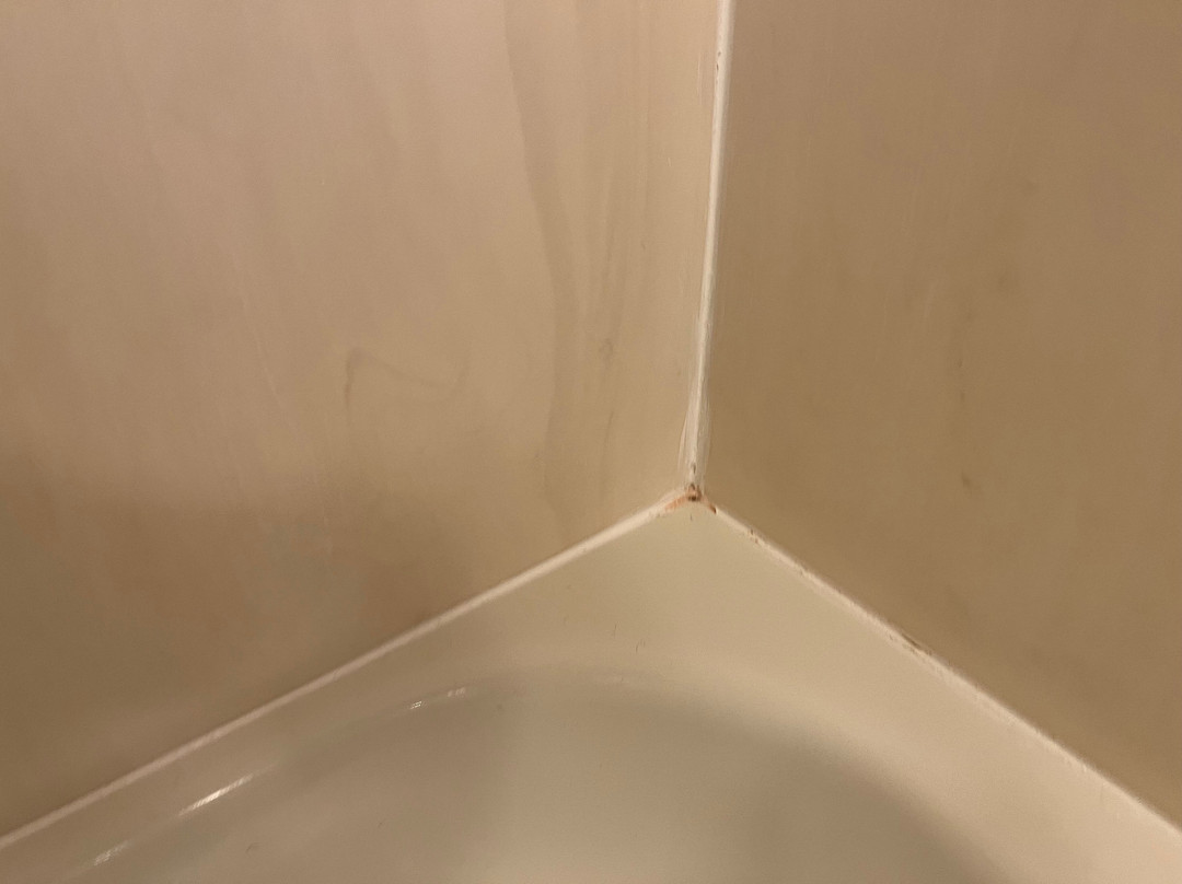 卡莱尔市中心舒适套房酒店主图