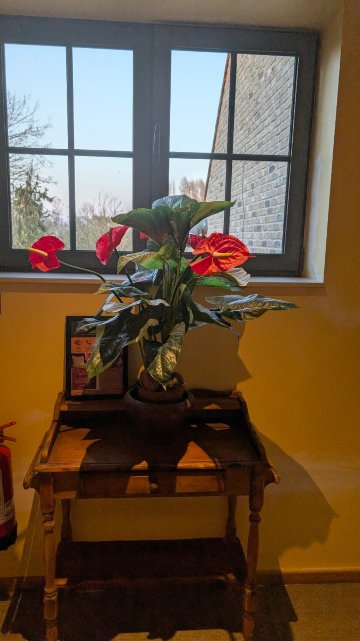 莫里安谢德乡村酒店-官方