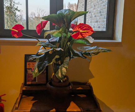 莫里安谢德乡村酒店主图