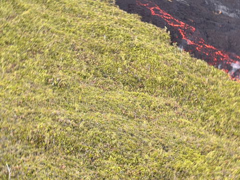 Run Helico-留尼旺圣皮耶必去景点