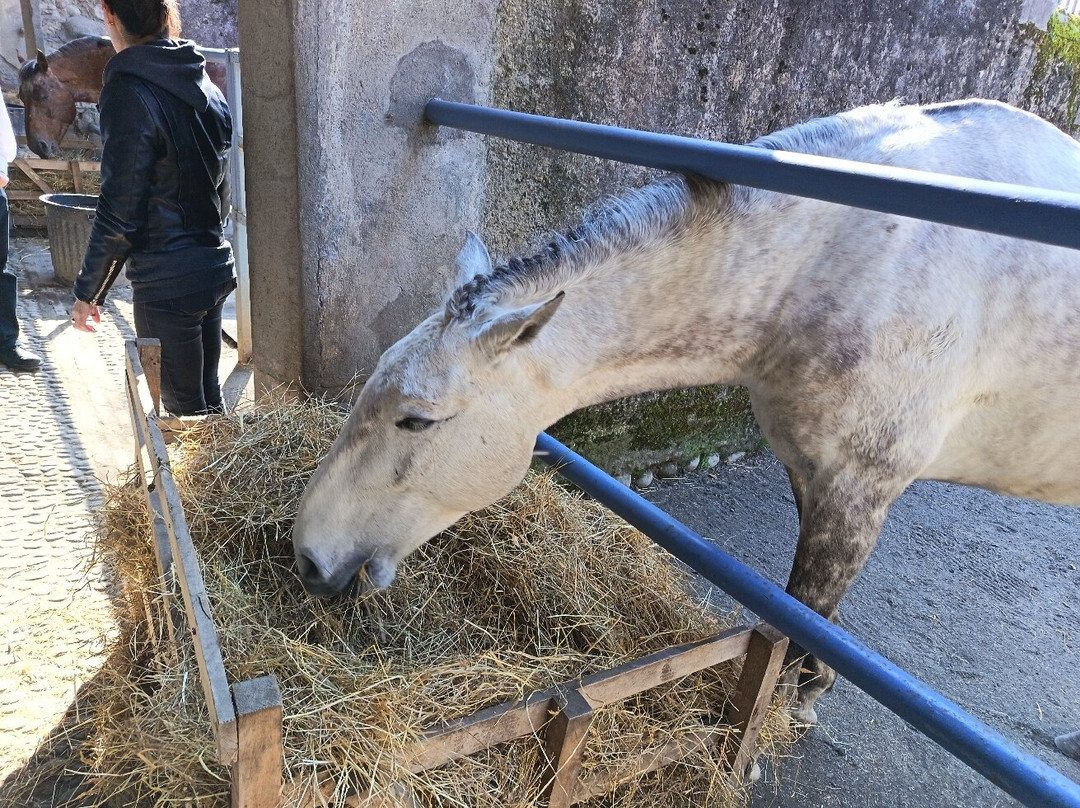 LE HARAS DE TARBES-塔布必去景点