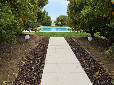 金塔多斯香水住宿加早餐旅馆主图