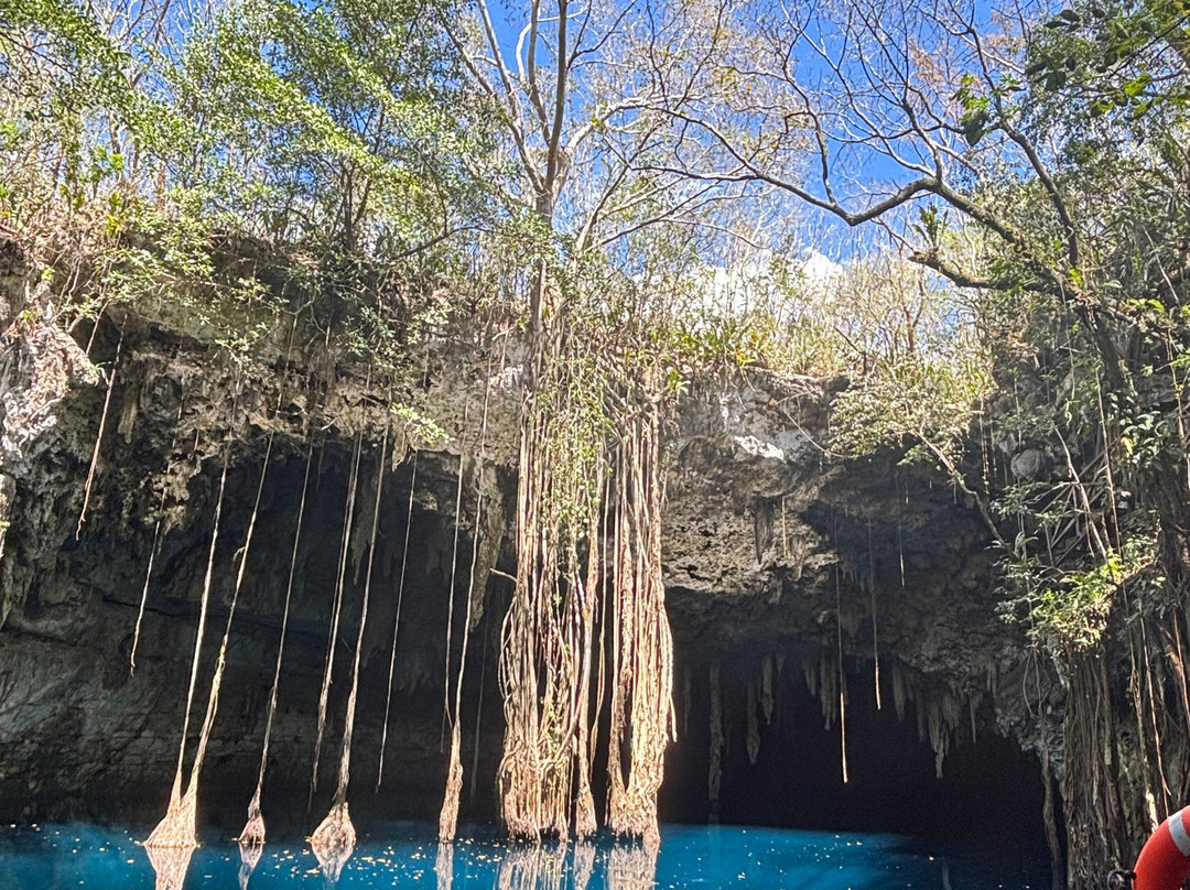 Experiencia Privada en Cenote Exclusivo-巴利亚多利德必去景点