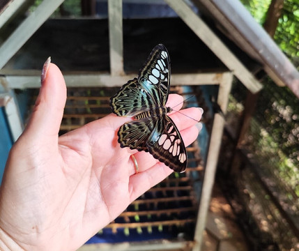 Hanoi Voyages-河内必去景点