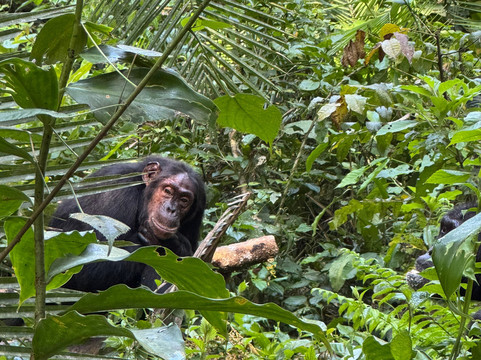 Jinja Bike Tours And Safaris-Buikwe必去景点