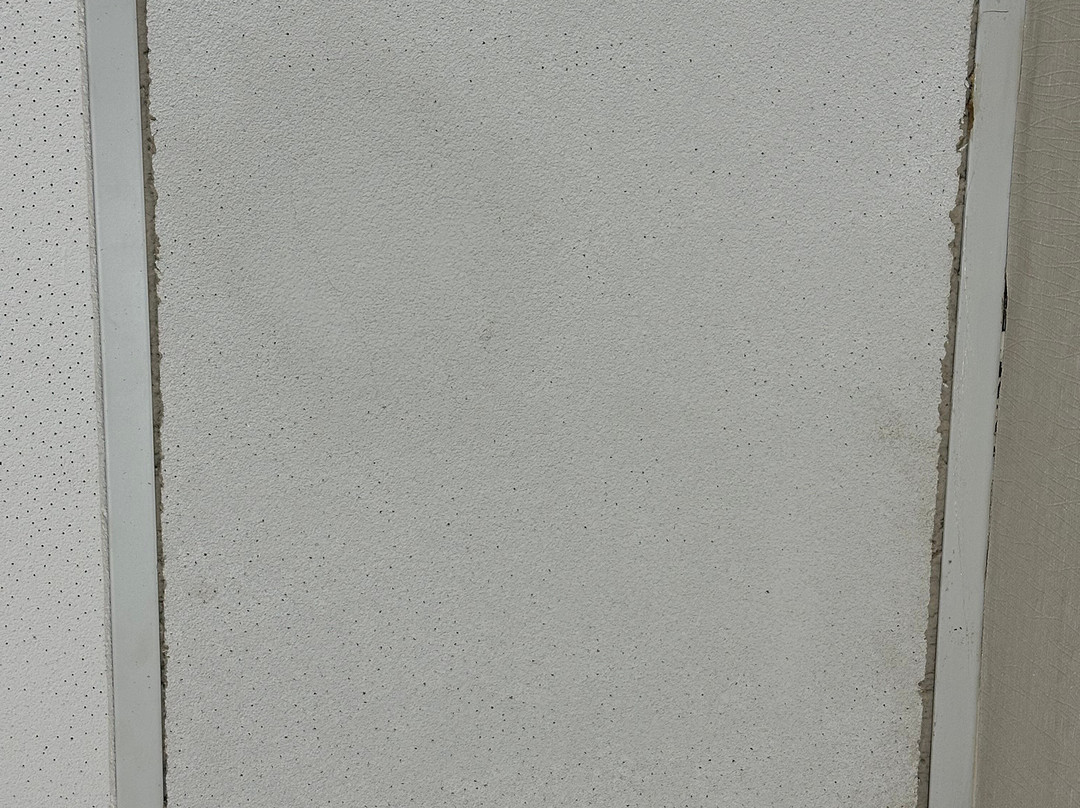 底特律利沃尼诺维希尔顿安泊酒店主图