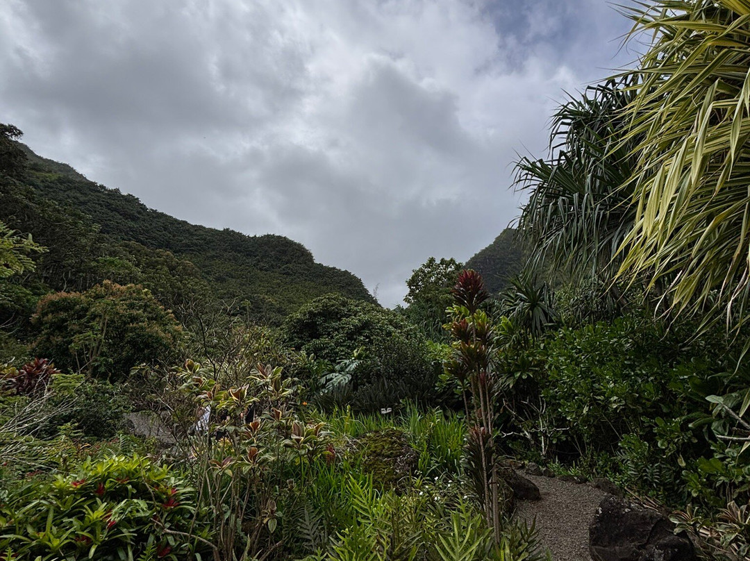 Limahuli Garden and Preserve-哈纳雷伊必去景点